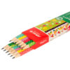 Aria Fruity Black Pencils – Perfect for School and Creative Projects Pack of 12 (1)