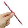 Aria VITRAY Black Pencils – Premium for Drawing & Writing and Sketching Pack of 12 (1)