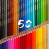 Arya Artist 50-Color Colored Pencils with Unique Fish Pattern (4)