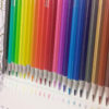 Bird-Themed 24 Colored Pencils by Admiral – Bright & Fun] (2)
