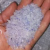 Persian Blue Salt (Semnan) – Premium Iranian Seasoning – 500 grams (3)