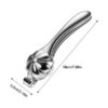 Stainless Steel Lever Nutcracker – Steel Handle & Body, Ergonomic, for Walnuts & Chestnuts, Floral Design (5)