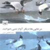 When the Ducks No Longer Sing Book by Saeed Afkhami Namin