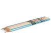 Write Your Future with Aria Metallic Pencils – 4 Piece Set