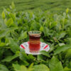 Gilandocht Premium Iranian Spring Black Tea – 1000g (4)