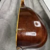 Handcrafted Persian Tanbur by Ne'matollahi – A long-necked, fretted lute featuring a ribbed mulberry wood bowl (1)