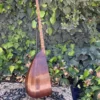Luxury Persian Tanbur by Ne'matollahi – Handcrafted Artisan Mulberry Wood Masterpiece (2)