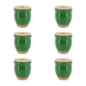 Handmade Persian Pottery Spice Jars – Green 6-Piece Set