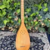 Persian Tanbur, Handcrafted by Ne'matollahi — with a Neck Decorated in Jujube Design (1)
