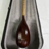 Persian Tanbur, Handcrafted by Ne'matollahi — with a Neck Decorated in Jujube Design (4)