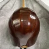 Persian Tanbur, Handcrafted by Ne'matollahi — with a Neck Decorated in Jujube Design (5)