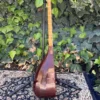 Persian Tanbur, Handcrafted by Ne'matollahi — with a Neck Decorated in Jujube Design (6)