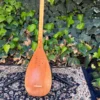 Persian Tanbur by Soozani – A Long-Necked, Fretted Lute Handcrafted from Mulberry and Walnut (2)