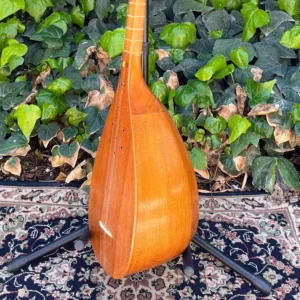 Persian Tanbur by Soozani – A Long-Necked, Fretted Lute Handcrafted from Mulberry and Walnut