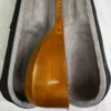 Persian Tanbur by Soozani – A Long-Necked, Fretted Lute Handcrafted from Mulberry and Walnut (4)