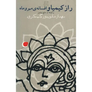 The secret book by Behnaz Alipour