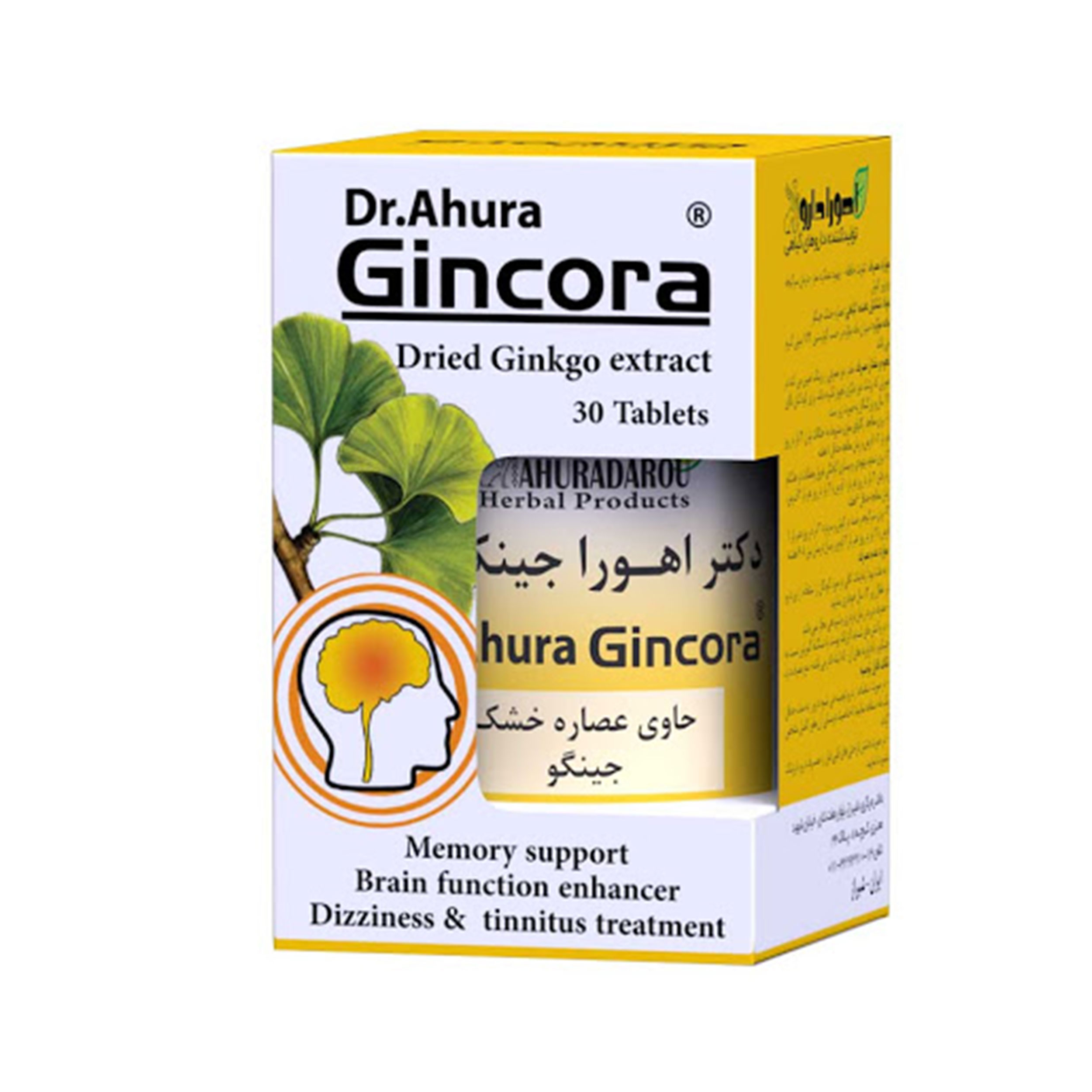 Ginkura Tablets by Ahura Darou – for Memory & Brain Circulation, Pack of 30