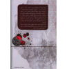 A-Memento-For-Istanbul-Book-by-Ahmet-Umit-Farsi-2