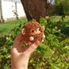 Handmade-Crochet-Lamb-Keychain-–-Soft-Yarn-Bag-and-Key-Accessory-in-Brown1