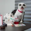 1405-Desk-Calendar-Cute-Dog-Design-–-Wooden-Stand-with-12-Washable-Transparent-Sheets-1