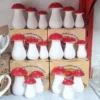 Ceramic-Mushroom-Salt-and-Spice-Shaker-Set-Three-Piece-Decorative-Kitchen-Accessory1