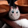 Handcrafted-Ceramic-Cat-Shaped-Salt-Shaker-–-Whimsical-Decorative-Kitchen-Accessory-for-Salt-and-Spice-Seasoning11